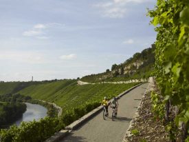 Donaueschingen Passau Danube Cycle Path 2020 The Source of River Danube